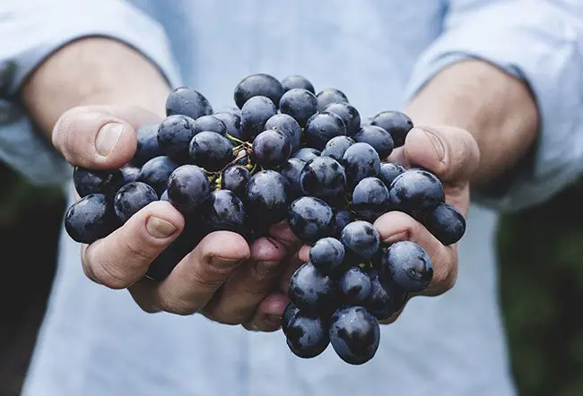 Grape Juice - Image 3